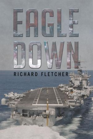 Cover of the book Eagle Down by Andrea Feldman