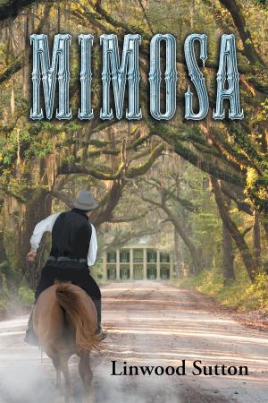 Cover of the book Mimosa by John Heru Aan Allsop
