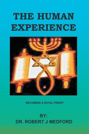 Cover of the book The Human Experience by Earl E. Holstein Jr