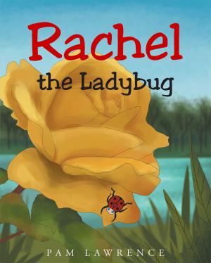 Cover of the book Rachel the Ladybug by Steve Rudd