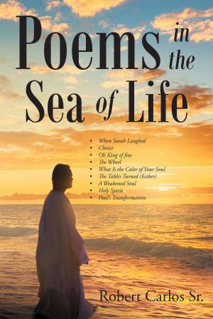 Cover of the book Poems In The Sea Of Life by Jill Noblit MacGregor
