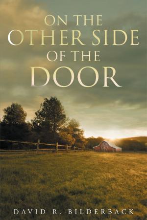 Cover of the book On the Other Side of the Door by Julie Hammond