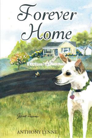 bigCover of the book Forever Home by 