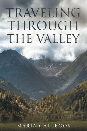 Cover of the book Traveling Through The Valley by Betty Green