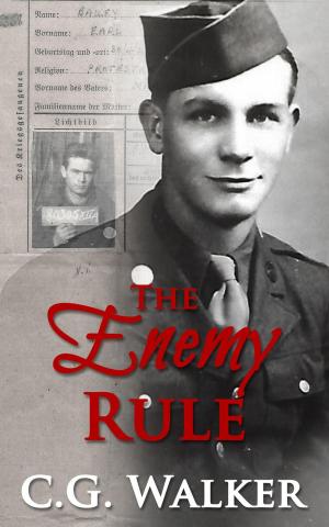Cover of the book The Enemy Rule by Frank Fabian
