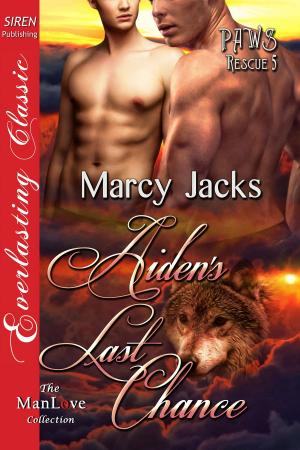 Cover of the book Aiden's Last Chance by Becca Van