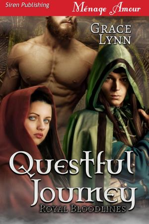 Cover of the book Questful Journey by Zara Chase