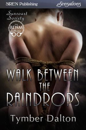 Cover of the book Walk Between the Raindrops by Catherine de Bourg