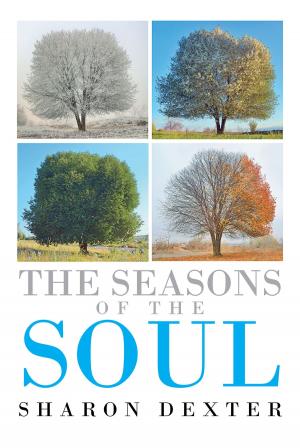 Cover of the book The Seasons of the Soul by Donnalakshmi Selvaraj, Indira Selvaraj