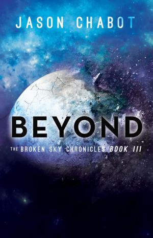 Cover of the book Beyond by Rabbi Michael J. Cook