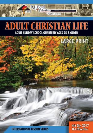 Cover of the book Adult Christian Life by Dr. Denise Elane Witherbee