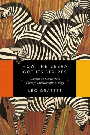 Cover of the book How the Zebra Got Its Stripes: Darwinian Stories Told Through Evolutionary Biology by Nina Schuyler