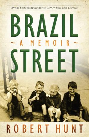 Cover of the book Brazil Street by Marie-Beth Wright