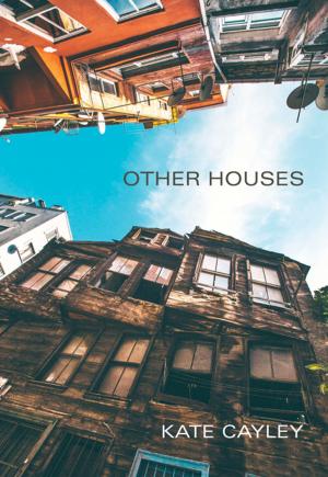 bigCover of the book Other Houses by 