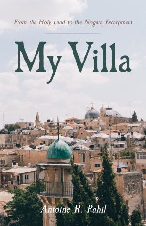Cover of the book My Villa by Aly Brisha