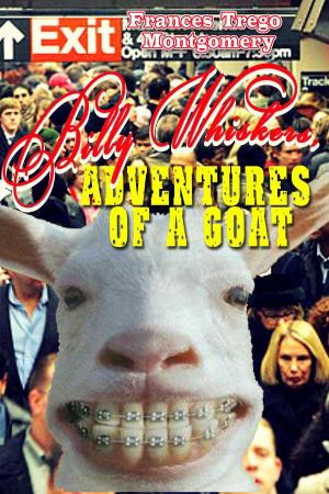 Cover of the book Billy Whiskers' Adventures by Daniele Santino Bosu