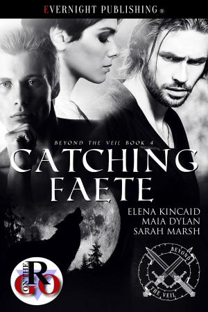 bigCover of the book Catching Faete by 