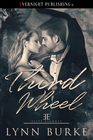 Cover of the book Third Wheel by Erin M. Leaf