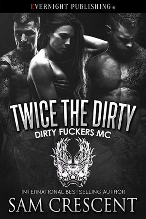 Cover of the book Twice the Dirty by Lynn Burke