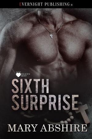 Cover of the book Sixth Surprise by Danica Avet