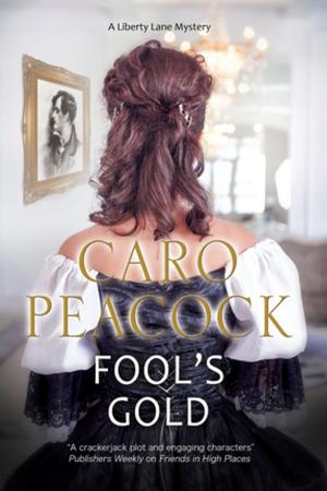 Cover of the book Fool's Gold by Carter Wilson