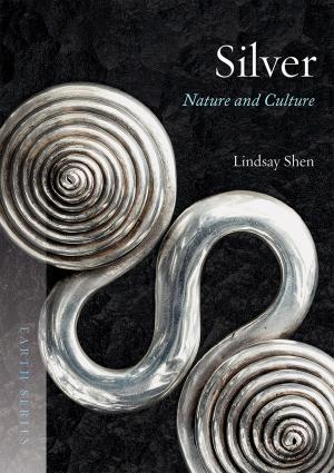 Cover of the book Silver by Renee Newman