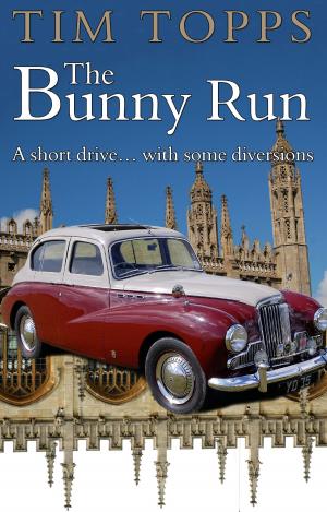 Cover of the book The Bunny Run by Colin Farrington