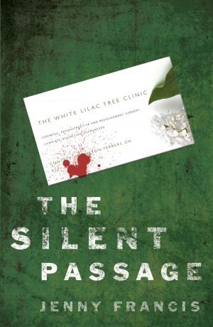 Cover of the book The Silent Passage by Frank C. Matthews, Karen Hunter