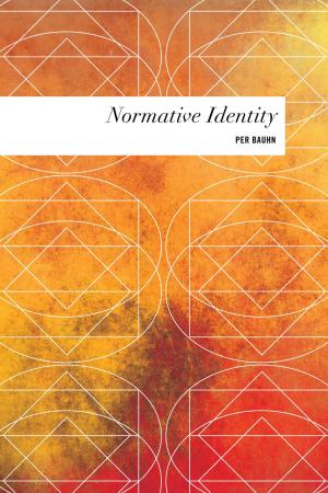 Cover of the book Normative Identity by Paul Bowman, Professor of Cultural Studies at Cardiff University, UK