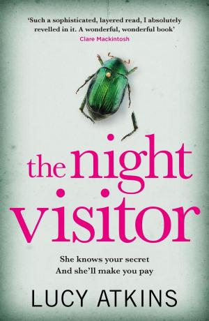 Cover of the book The Night Visitor by Ian Crofton