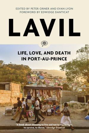 Cover of the book Lavil by McKenzie Wark