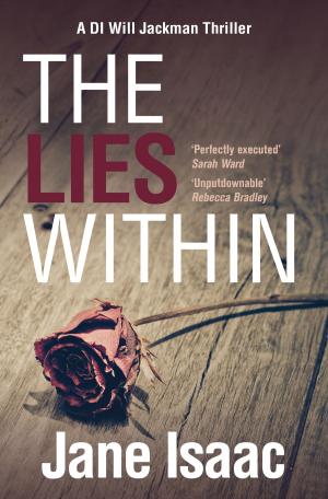 Cover of the book The Lies Within by Jon Haylett