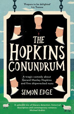Cover of the book Hopkins Conundrum by Michael Meegan