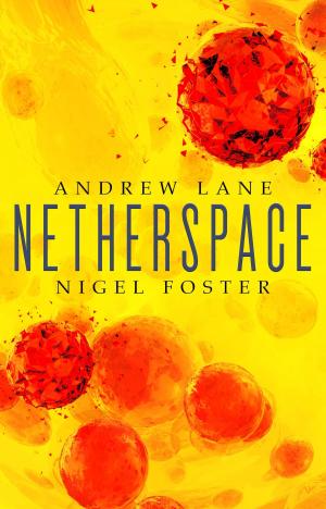 Book cover of Netherspace