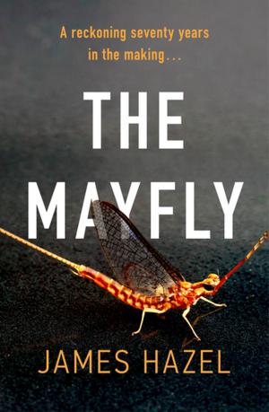 Cover of the book The Mayfly by Lauren Frankel