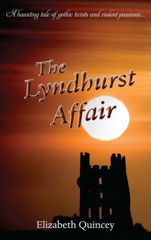 Cover of the book The Lyndhurst Affair by Geoffrey Daniels