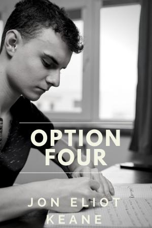Cover of the book Option Four by Debbie McGowan