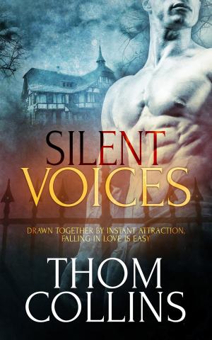 Cover of the book Silent Voices by Vella Munn