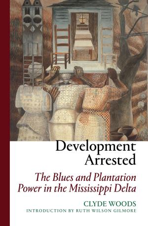 Cover of the book Development Arrested by David Roediger