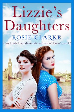 Cover of the book Lizzie's Daughters by Howard Spring