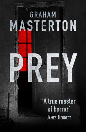 Cover of the book Prey by M.E. Mayer