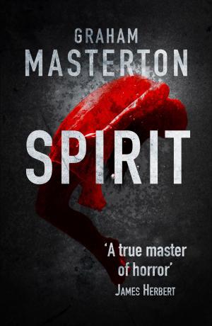 Cover of the book Spirit by Alison Sherlock