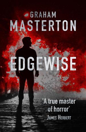 Cover of the book Edgewise by A.J. Smith
