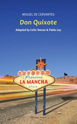 Cover of the book Don Quixote by Sebastian Faulks, Rachel Wagstaff