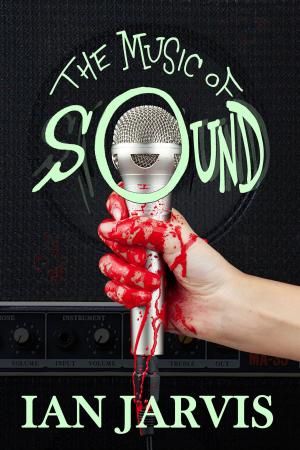 Cover of the book The Music of Sound by Anna Fergusson