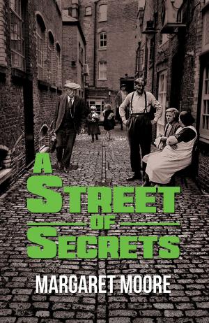 Cover of the book A Street of Secrets by Lynn Strongin