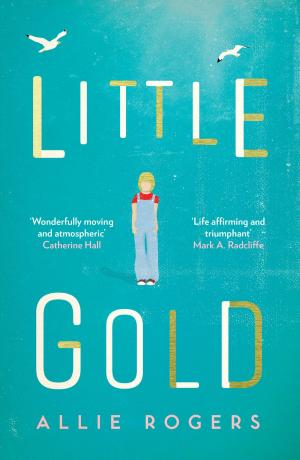 Cover of the book Little Gold by Susan Pogorzelski