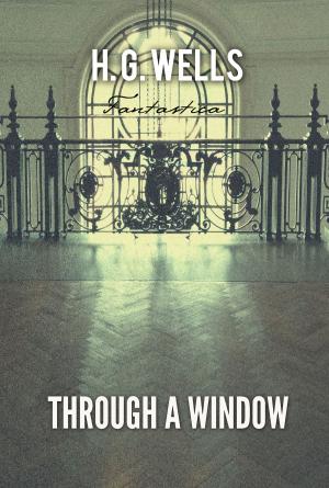 Book cover of Through A Window