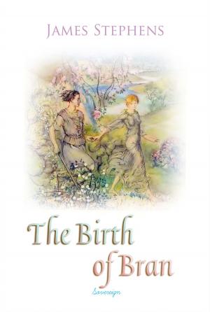 Cover of the book The Birth of Bran by Stendhal