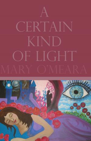 Cover of the book A Certain Kind of Light by Heather MacQuarrie